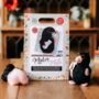 Mr Mole Needle Felting Craft Kit, thumbnail 1 of 3