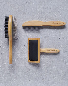 Cavalier King Charles Spaniel Dog ID Tag | Personalised Dog Name Tag, 10 of 12