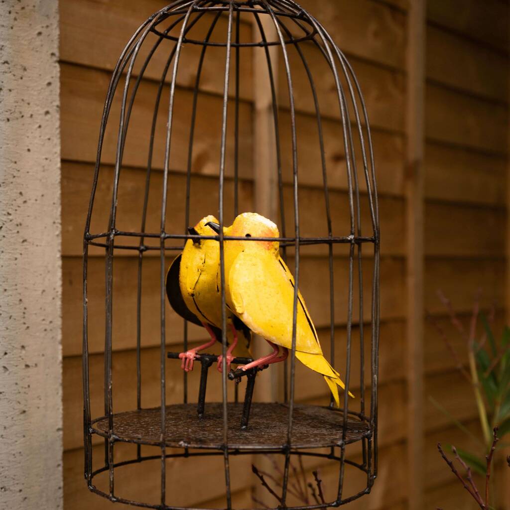 Bird Cage Recycled Metal Garden Sculpture By Chi Africa