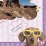 Personalised Animals Activity Book With Stickers, thumbnail 8 of 10