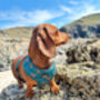 Happy Highland Cow Dog Harness, thumbnail 9 of 12