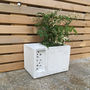 Beepot Planter In Concrete, thumbnail 7 of 9