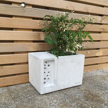 Beepot Planter In Concrete, 7 of 9