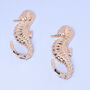 G Decor Set Of Two Solid Brass Seahorse Wall Coat Hooks, thumbnail 3 of 5