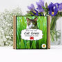 Gardening Gift. Cat Grass Growing Kit, thumbnail 1 of 5