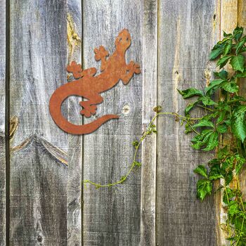 Garden Wall Sculpture Metal Gecko Lizard Art, 10 of 10
