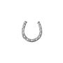 Horseshoe Lapel Pin – Silver/Gold, thumbnail 3 of 5