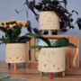 Personaised Smiley Face Dotty Spotty Plant Pot, thumbnail 1 of 10