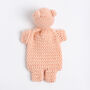 Personalised Teddy Baby Comforter Easy Crochet Kit, thumbnail 2 of 9