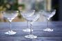 Set Of Two Ovals Champagne Saucers, thumbnail 1 of 3
