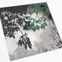 Framed Papercut Tree Canopy Art, thumbnail 4 of 7