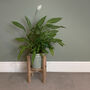 Elli Plant Stand, thumbnail 1 of 4