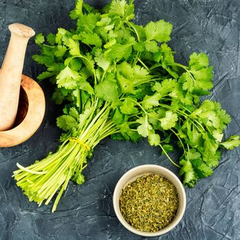 Herb Plants Coriander One X Plant In A 9cm Pot, 4 of 5