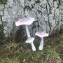 Set Of Three White Wooden Toadstools, thumbnail 2 of 7