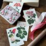Nostalgic Floral Botanical Postcards In A Tin | 20 Pcs, thumbnail 1 of 12