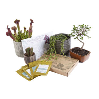 Monthly Tropical Houseplant Seed Subscription Box, 8 of 12