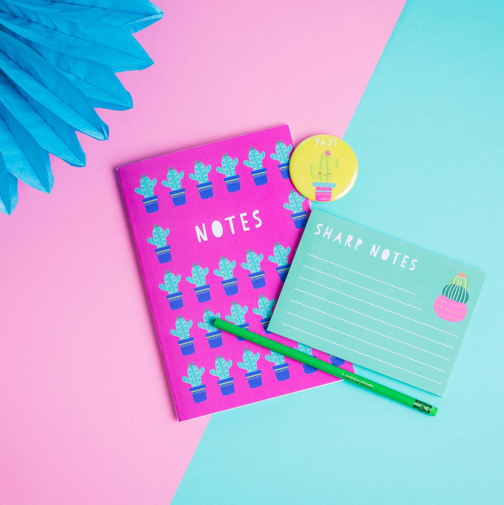 cactus stationery notebook gift set by paper craze