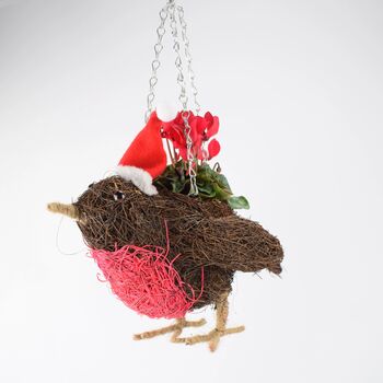 Robin Hanging Basket With Red Cyclamen – Christmas Gift, 2 of 2