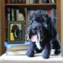 Personalised Crocheted Cuddly Toy Of Your Dog, thumbnail 1 of 12