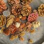 Natural Assortment Of Pine Cones Golden Sparkle, thumbnail 2 of 6