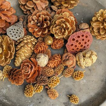 Natural Assortment Of Pine Cones Golden Sparkle, 2 of 6
