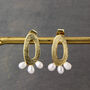 Gold Stud Earrings Freshwater Pearls, thumbnail 1 of 4