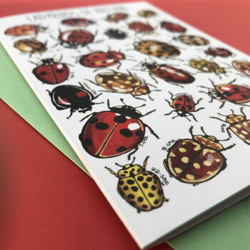 Ladybirds Of Britain Art Blank Greeting Card, 6 of 11
