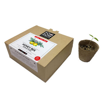 Honey Bee Tomato Grow Your Own Kit, 3 of 6