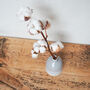 Clean Cotton Candle, Diffuser And Stem With Vase, thumbnail 6 of 7