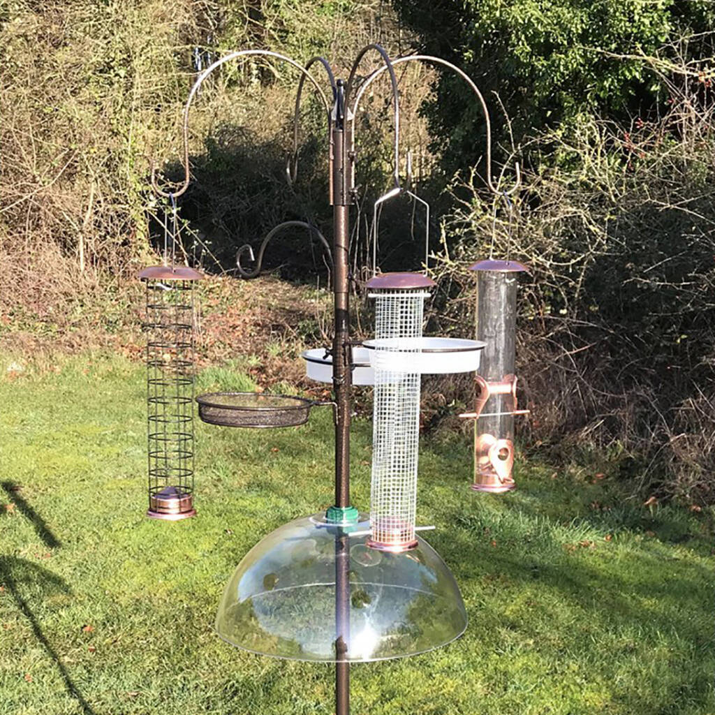 Deluxe Bird Feeder Station With Four Feeders And Baffle, 1 of 12