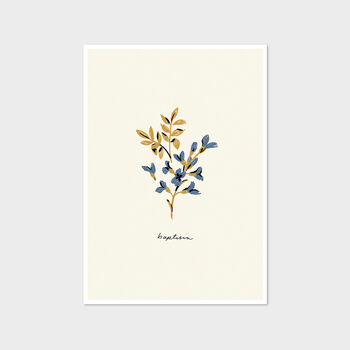 Blue Flower Botanical Print Baptisia, Unframed, 3 of 3