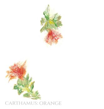 Pack 12 Carthamus Original Botanical Wedding Place Name Cards Double Sided, 2 of 6