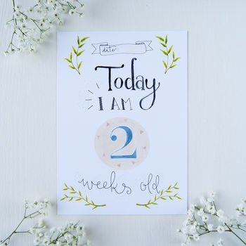 Baby 1st Year Milestone Cards, 2 of 7