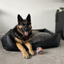 Luxury Vegan Leather And Sherpa Fleece Sofa Dog Bed, thumbnail 1 of 12