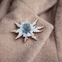 Wildflower Sea Holly Eco Wooden Pin Brooch, thumbnail 1 of 9
