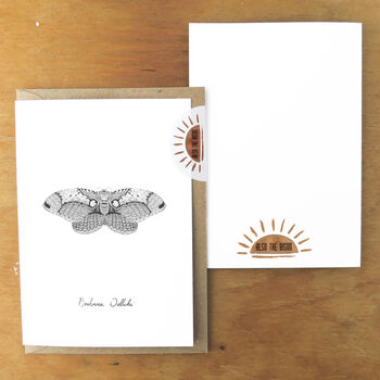 Owl Moth A6 Greetings Cards, 3 of 7