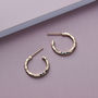 Textured Confetti Birthstone Hoop Earrings, thumbnail 5 of 9