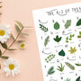 The A To Z Of Trees Print, thumbnail 5 of 6