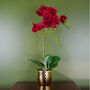 Red Orchid Artificial Dark Red Gold 50cm Real Touch, thumbnail 1 of 3