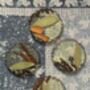 Set Of Four Garam Masala Infused Coasters, thumbnail 7 of 12