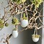 Hanging Eggs Filled With Muscari, thumbnail 7 of 8