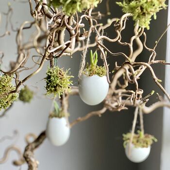 Hanging Eggs Filled With Muscari, 7 of 8