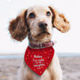 Personalised Christmas Dog Bandana Funny Dog Xmas Gifts, thumbnail 3 of 4