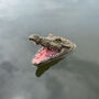 Mr Snappy Crocodile Head Pond Ornament, thumbnail 6 of 6