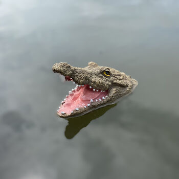 Mr Snappy Crocodile Head Pond Ornament, 6 of 6