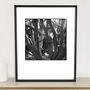 Tree Branches, Melford Hall Photographic Art Print, thumbnail 1 of 4