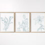 Set Of Three Contemporary Floral Art Prints, thumbnail 8 of 8