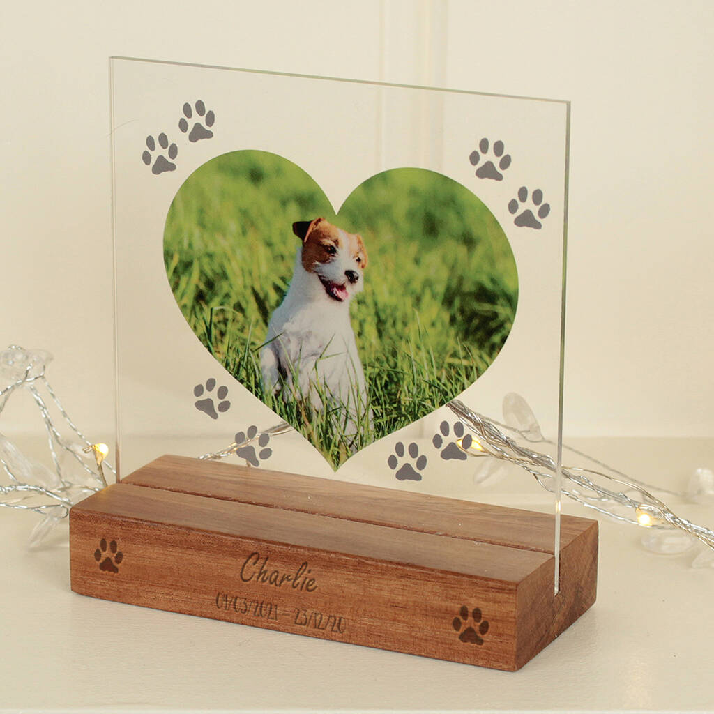 Personalised Pet Memorial Acrylic Photo By Love Lumi Ltd