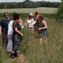 Culinary Wild Food Foraging Workshop In The South Downs, thumbnail 2 of 12