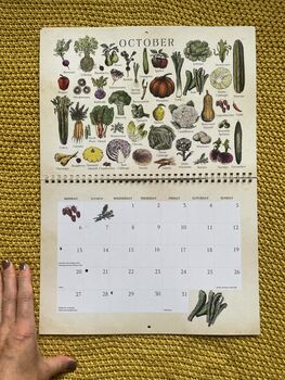 2025 Calendar UK Seasonal Fruit And Vegetable Calendar, 7 of 12